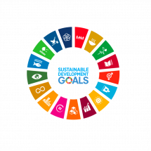 Social Development Goals der UNO