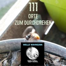 Welle Wahnsinn 111
